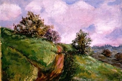 Wiesenrain