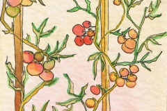 Tomaten